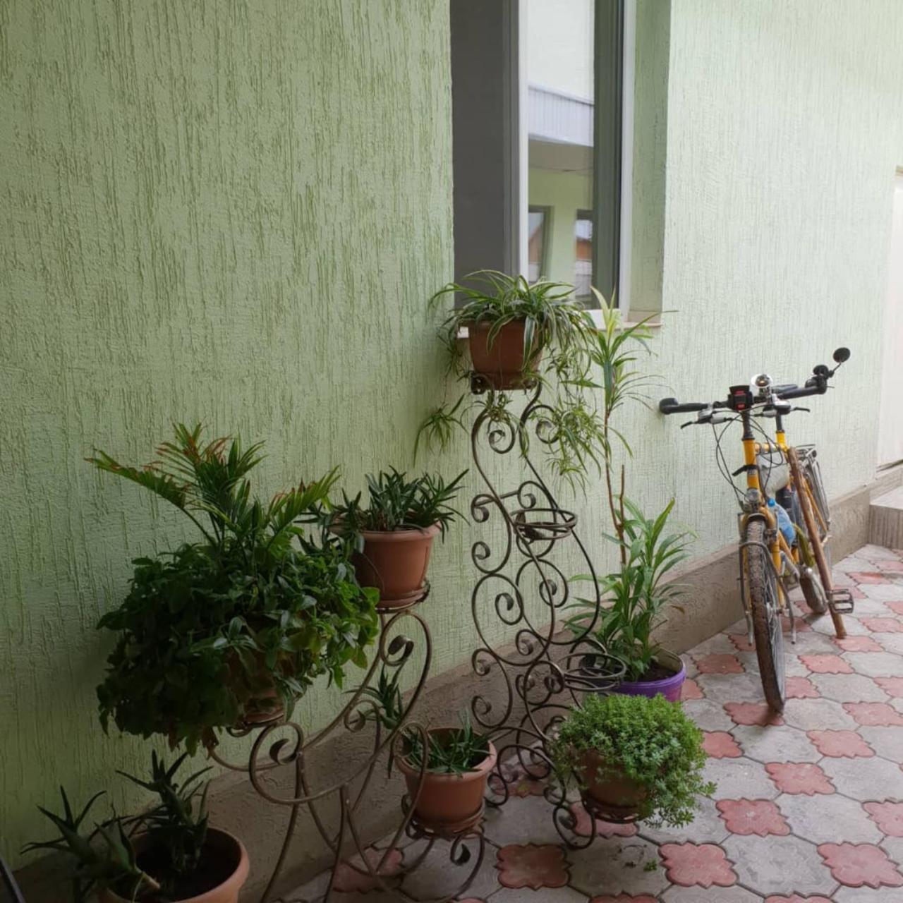 Datka Guest House Naryn Zewnętrze zdjęcie